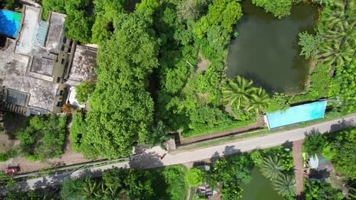 Satkhira coastal village lush green vegetation, agricultural fields and small fishing ponds, Drone