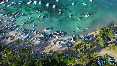 Stunning view of a seashore with boats and palm trees with a beautiful water depth color