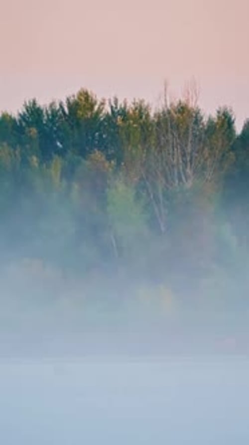 Timelapse of Fog Over a River in the Early Morning