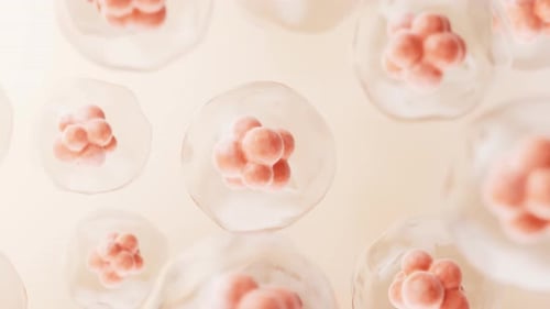 Microscopic Cell Division and Growth Scientific Background