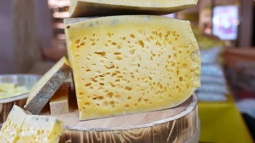 Cheese Intake and Obesity Risk