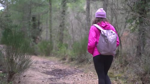 Hiker girl, woman outdoors in mountain forest, nature walking, strolling, wandering at the woods on