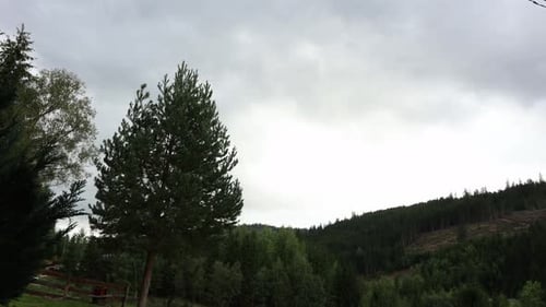 Zeitraffer der Wolken am Himmel über den Bäumen, Hügeln und Wäldern.