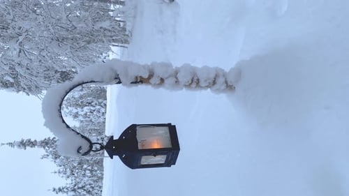 Snowy Winter Lantern in a Winter Forest