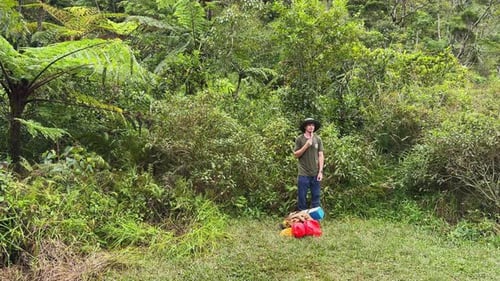 Guide Stands on Rainforest Glade Explaining Ecosystem Facts