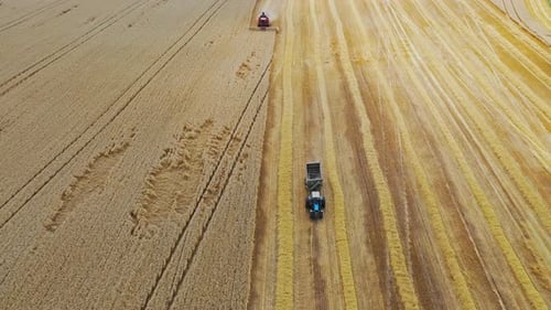Grain harvest combine harvester. Aerial view of combine harvesting wheat
