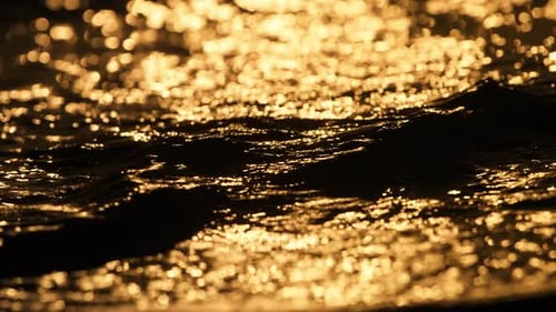 Golden Light Reflecting off Dark Water