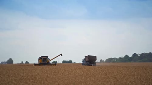Yellow harvester machine stopped in the field and combiner examining it from outside.