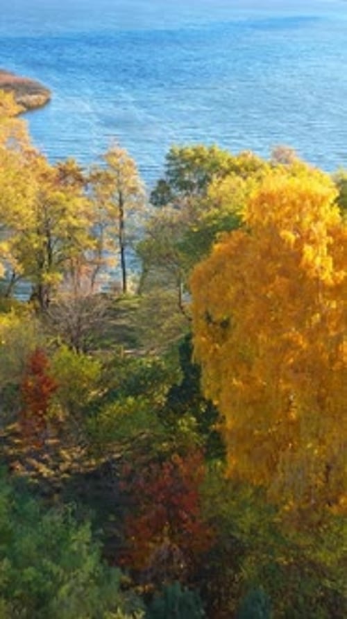 Autumn nature and forest landscape. Aerial view of beautiful river and colourful forest