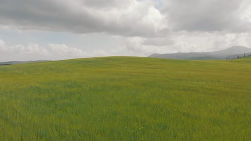 A Green Fresh Meadow A Few Residential Buildings Set on