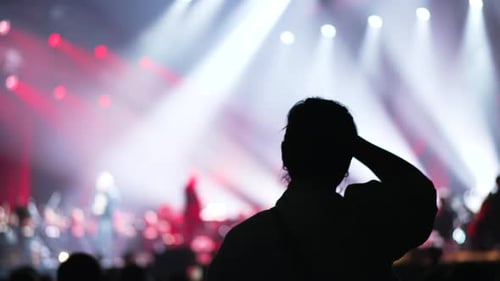 Crowd Silhouetted at Concert with Red and White Lights