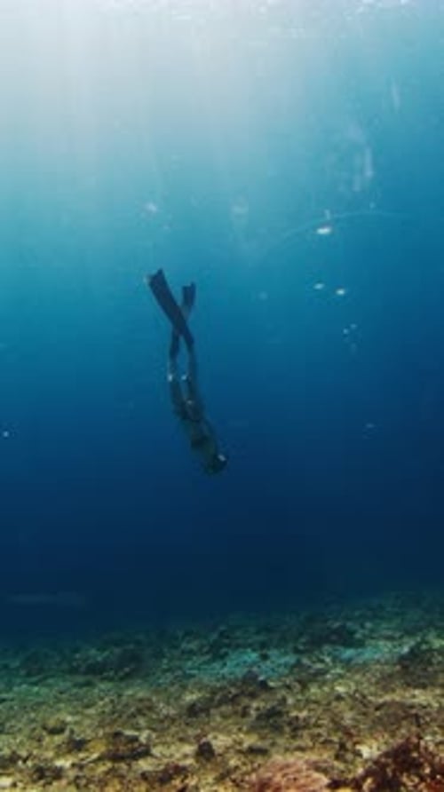 Female freediver swims in the tropical sea. Woman free diver glides underwater in a sea and descends