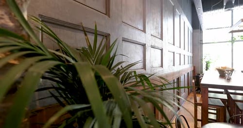 plants placed against a wooden wall in a restaurant