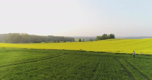 Person Walking Through Green and Yellow Fields