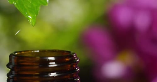 blend of essential oils with water drops, scents and aromas in aromatherapy for wellness and spa.
r