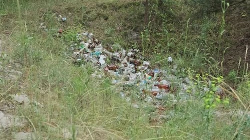 Illegal Garbage Dump of Plastic and Bottles in the Forest Pit