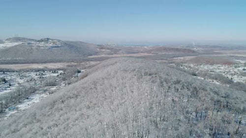 Aerial View of a Frozen Forest with Snow Covered Trees at Winter Flight Above Winter Forest Aerial