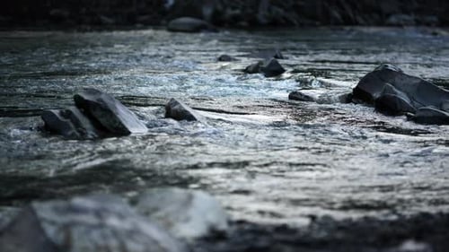 Wild mountain river runs through stone rapids in the carpathians national park