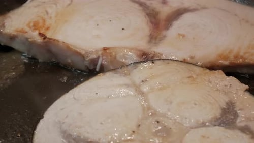 Sizzling Swordfish Steaks in Pan - Fresh and Delicious Seafood Cooking