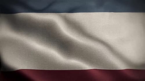 Realistic Waving Tricolor Fabric Flag Animation Background