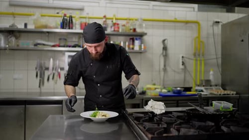 Chef Prepares Food in Restaurant Kitchen