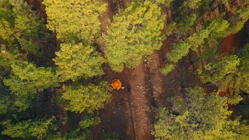 Aerial View of Tent and Couple in Forest
