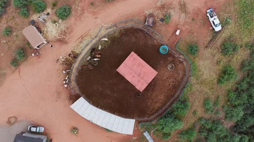 Drone top down rising view above horses eating in round corral paddock
