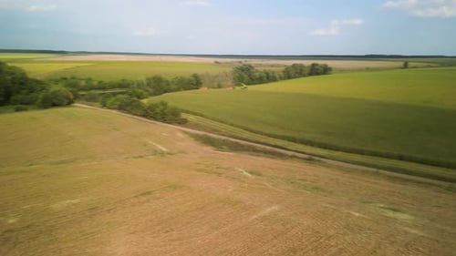 Ensileuse, hachage du maïs pour l'ensilage