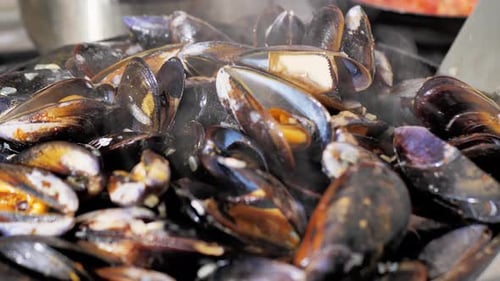 Steaming Mussels Cooked in a Pan