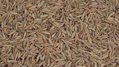 Dried cumin spice seeds background rotate. Dry seasoning cumin. Spices and herbs for cooking zira