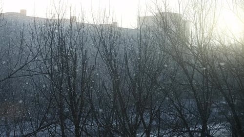 Der Morgenschnee funkelt mit lebhafter Kälte Der Morgenschnee bedeckt das Stadtbild mit funkelnden Flocken inmitten der Kälte
