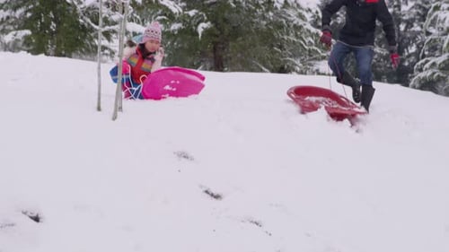 Kids Sledding Down Snow Covered Hill in Winter Activity