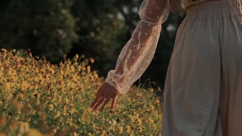 A Womans Hand Gently Touches Beautiful Yellow Flowers in a Scenic and Colorful Field