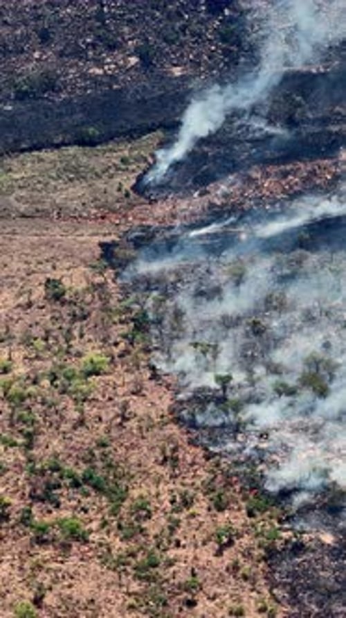 Drone view of an uncontrolled wilderness blaze spreading across a protected park