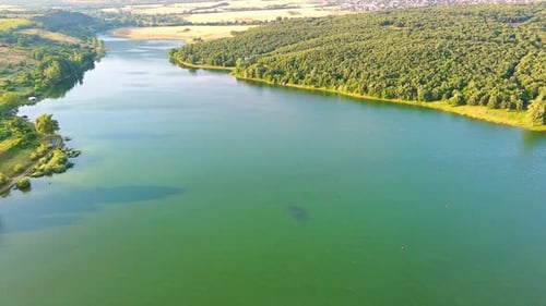 Lake with Clear Water and Stone Shore in Spruce Forest with Fir Trees Against a Daytime Sky