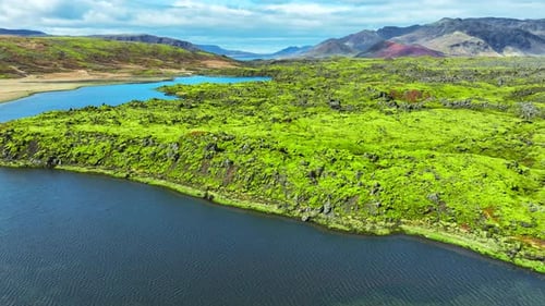 Aerial View of Mossy Terrain in Iceland