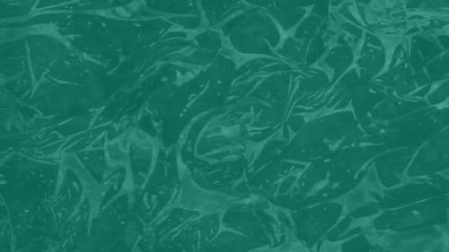 Abstract Fluid Teal Organic Liquid Background Motion Graphic