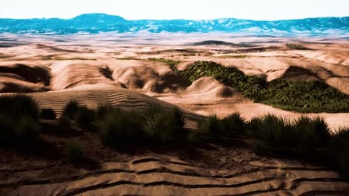 Flat Desert with Bush and Grass