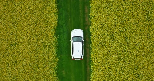 Aerial View Electric Car Driving on Country Road Luxury Modern Vehicle Riding Fast Along Trees and