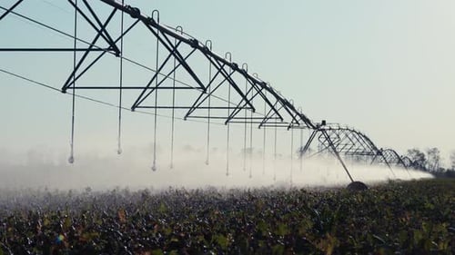 Automated Irrigation System Watering Crops on a Sunny Day