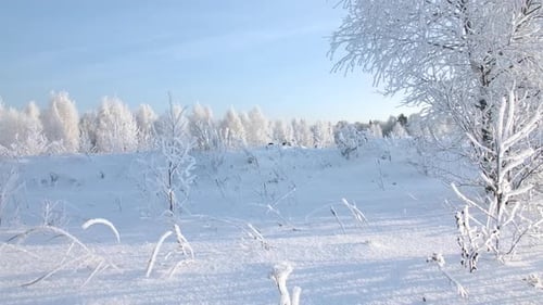 Beautiful winter landscape of forests and glades