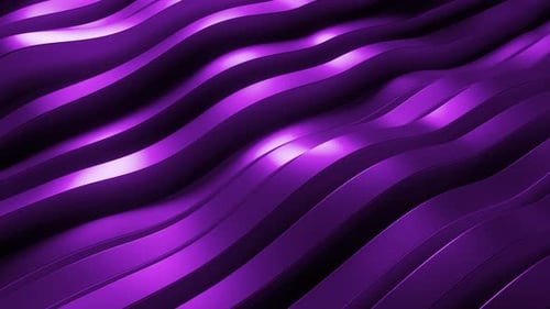 Abstract purple wavy lines background animation. 3d loop animation 4k
