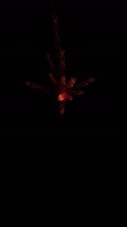 Abstract Red Particle Burst Reveal Animation