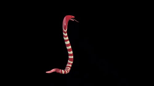Animated 3D Striped Snake Rises and Flickers Tongue
