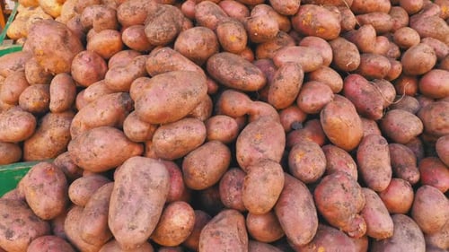 Showcase with Potatoes on the Street Market