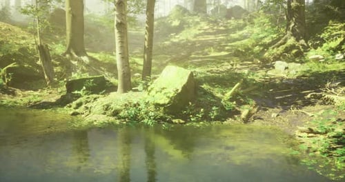 Serene Forest Landscape with a Tranquil Pond and Lush Greenery at Dawn
