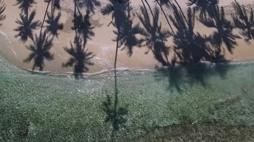 View at Palms at the Beach