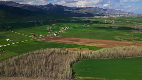 A large, lush green field with a dirt road running through it