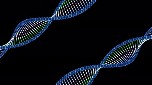 Double hélice en spirale 3D de particules abstraites 10