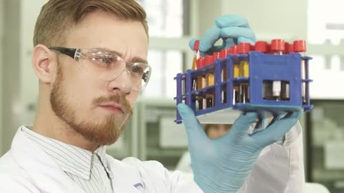 Scientist Inspecting Test Tubes in a Laboratory
